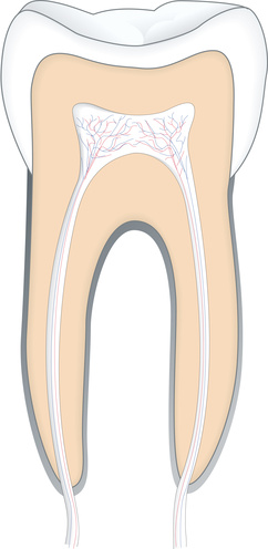 endodontie
